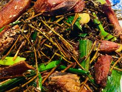 茶树鸭-杨记隆府(白象街店)