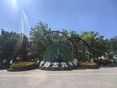 -呀路古热带植物园