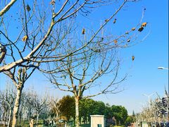 -上海山野camping·户外天幕烧烤·团建拓展营地
