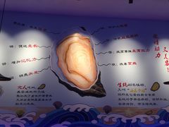 -千岛蚝高压锅生蚝·人参火锅(白云万达店)