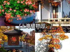 -东平国家森林公园