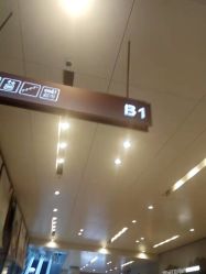 点击看大图 -日本普洛莱茜尔美睫美甲