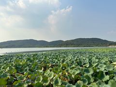 -南北湖风景区