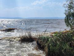 -捞渔河湿地公园