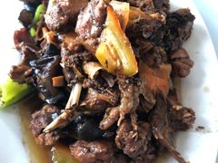 -中原农家乐(中原饭店)