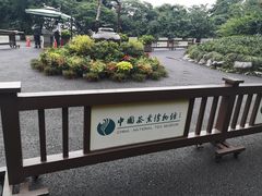 -中国茶叶博物馆(双峰馆区)