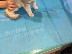 -美迦爱-牙专科·兔科·骨科诊疗中心(北苑店)
