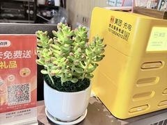 -聆耳·采耳·按摩·SPA(会展中心店)