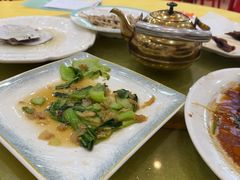 -鸿达渔港