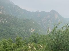 -大岭沟猕猴桃谷风景区