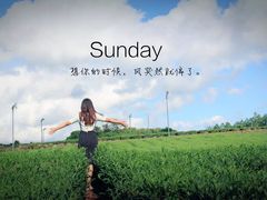 -雪绿茶博物馆