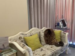 -北京米扬丽格医疗美容·联合丽格鼻整形中心