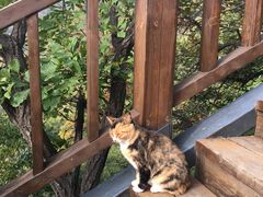 -狼牙山风景区