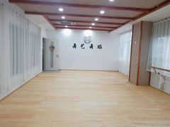 -舞艺舞蹈文化艺术培训中心