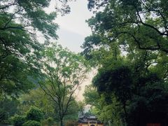 -柏联酒店