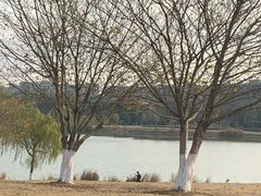 -钟山体育运动公园