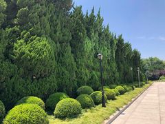 -上海市龙华烈士陵园