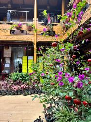 -小红帽摄影(丽江店)