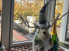 -蝶舍·MAISON PAPILLON