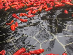 -明月山天沐温泉度假村