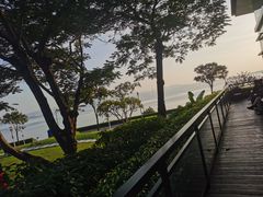 -深圳湾公园(南山区)