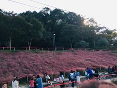 -牛岗山公园
