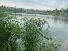 -枫香湖儿童公园