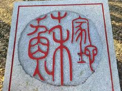 -阳台山自然风景区