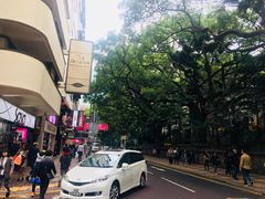 -池记(尖沙咀店)