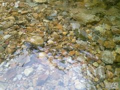 -牛鱼嘴原始生态风景区
