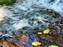 -云岫谷游猎自然风景区