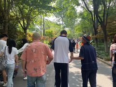 -吴淞炮台湾湿地森林公园烧烤区
