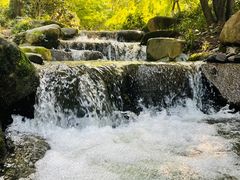 -中国茶叶博物馆(双峰馆区)