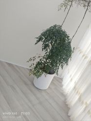 -HEYAN荷妍专业脱毛连锁机构