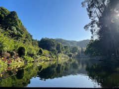 -深圳仙湖植物园