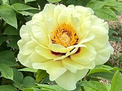 -合肥三国新城遗址公园