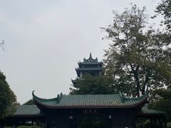 -桂湖森林公园