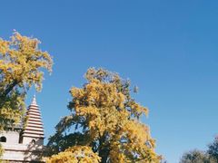 -北京石刻艺术博物馆(五塔寺)