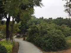 -八仙山公园