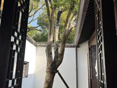 -上海醉白池公园