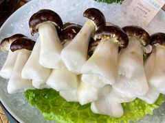 -滇色蒸汽石锅鱼(京华城店)