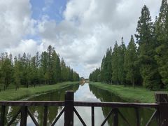 -黄海国家森林公园