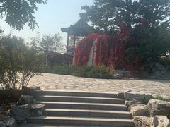 -大兴滨河森林公园