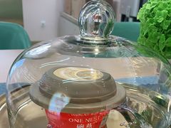 -燕窝·燕之屋碗燕(铜锣湾店)