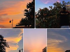 -苏州冶园园林民宿(太湖西山风景区店)