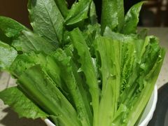 -313羊庄铁锅烀羊肉(望京店)