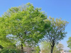 -九里河湿地公园