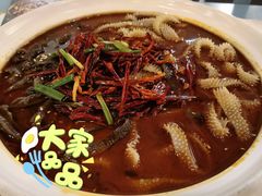 -付掌柜在成都·热炒砂锅集(金禾店)