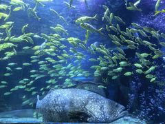 -太平洋海底世界