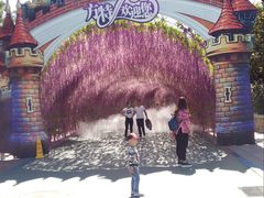 -沈阳方特欢乐世界